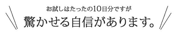 お試しはたったの10日分ですが、驚かせる自信があります！