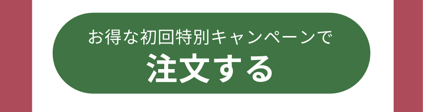 お得な初回特別キャンペーンで注文する