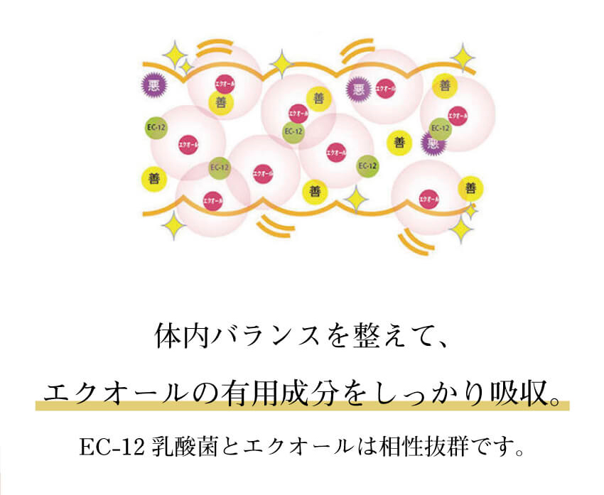 キレイデボーテエクオール初回限定価格3,980円送料無料