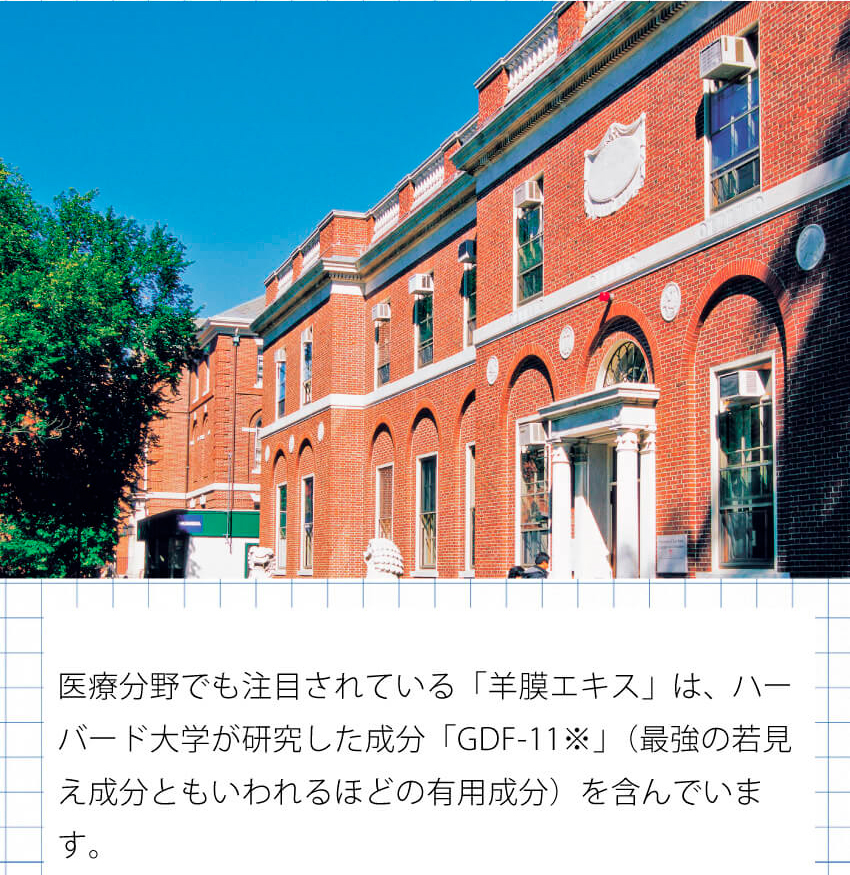 羊膜エキスは、ハーバード大学が研究した成分GDF-11を含んでいます。